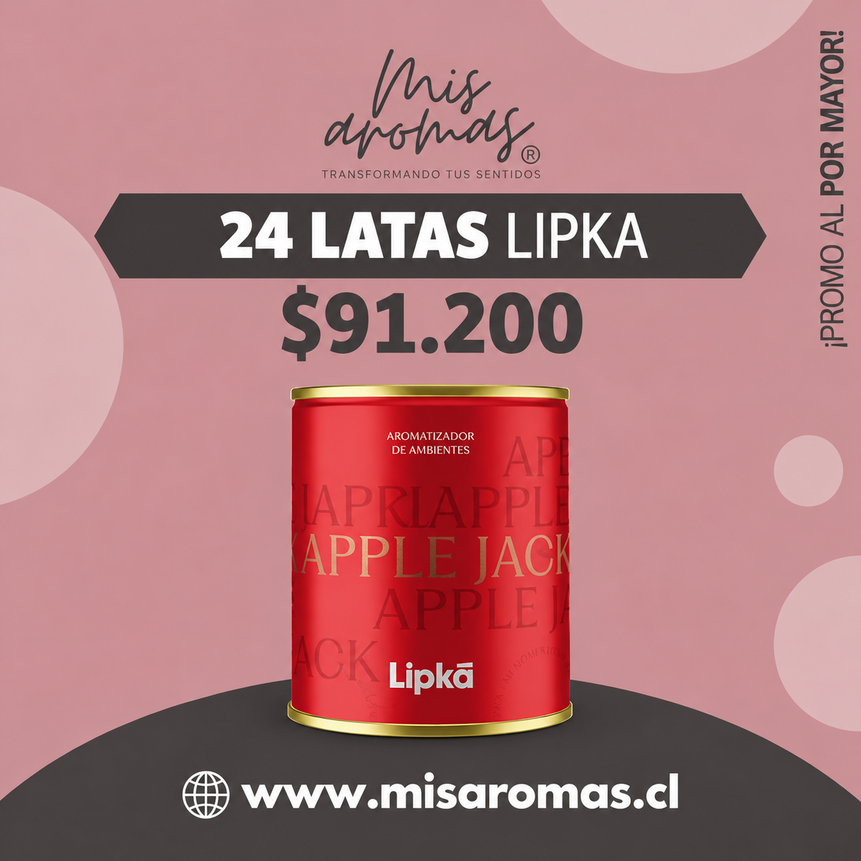 Pack X10 Latas Lipka